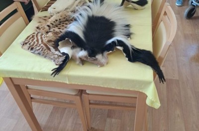 Přednáška o ústecké zoologické zahradě